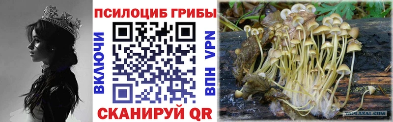 Галлюциногенные грибы GOLDEN TEACHER  Купить  Нягань 
